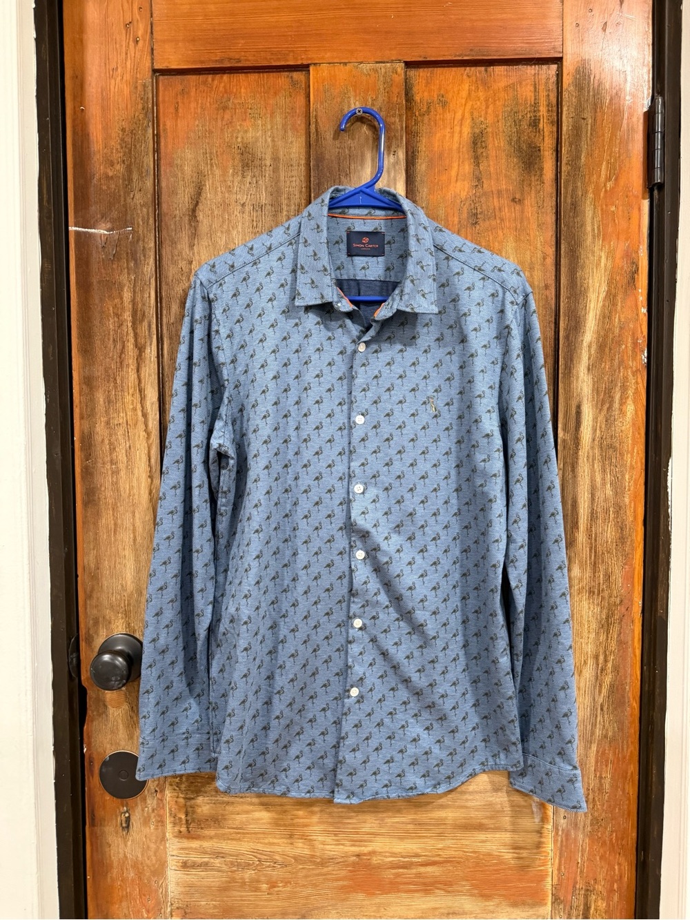 Men's Light Blue Long-Sleeve Printed Button-Down Shirt